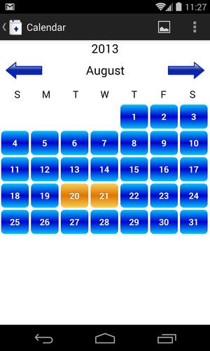 Chronic Pain Diary
