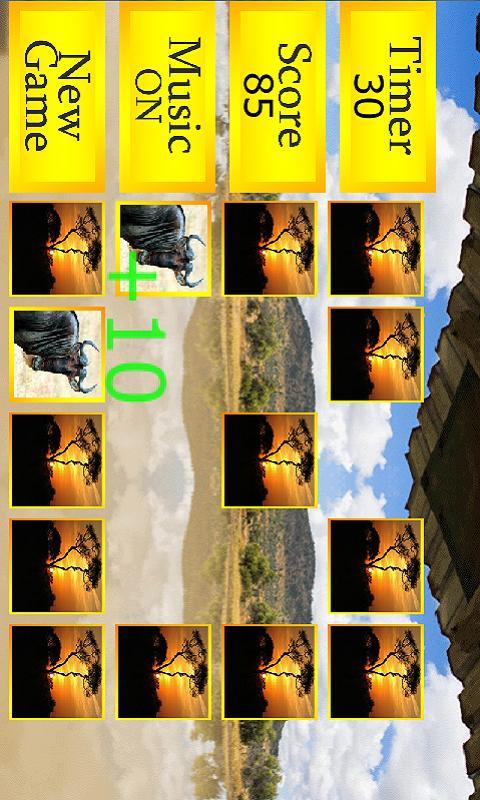 Match'em Africa: Safari Memory